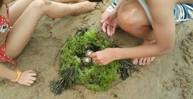 dos ninos jugando con caracolas en la arena